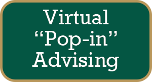 Virtual Pop-In Advising 3